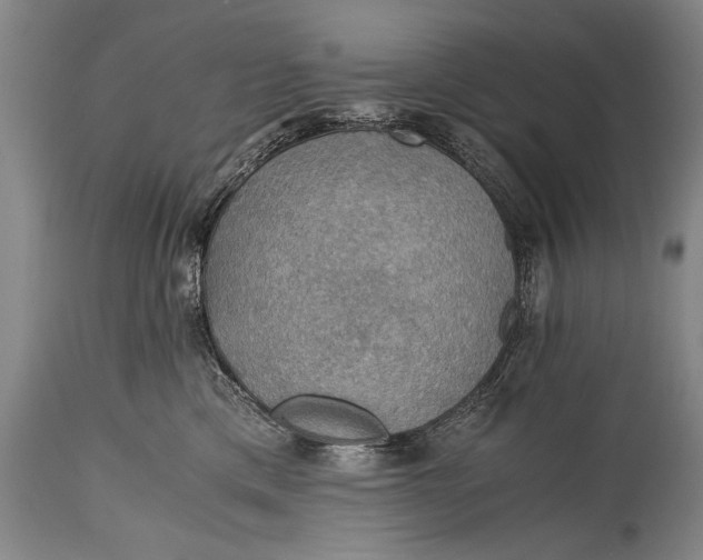 X0000115410425200911171404