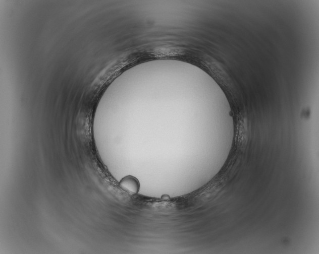 X0000115410426200911171404