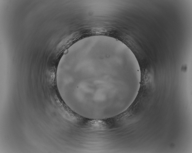 X0000115410427200911171404