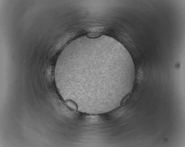 X0000115410428200911171404