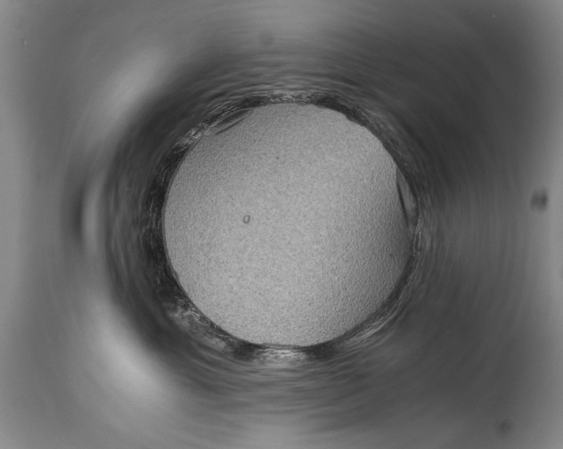 X0000115410429200911171404
