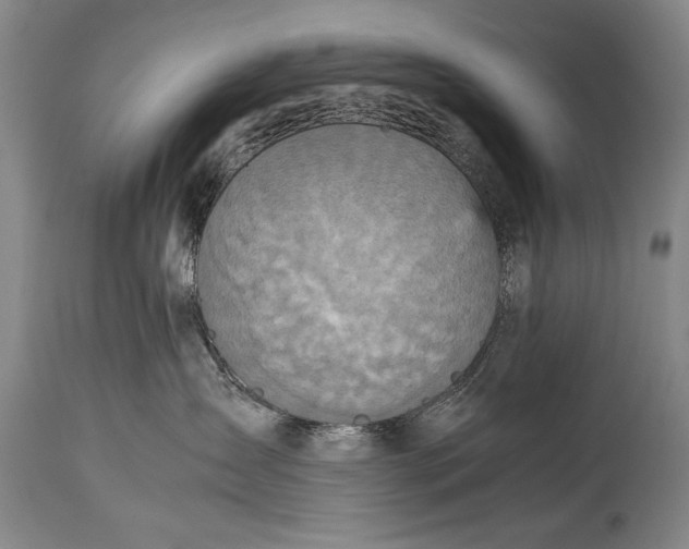 X0000115410431200911171404
