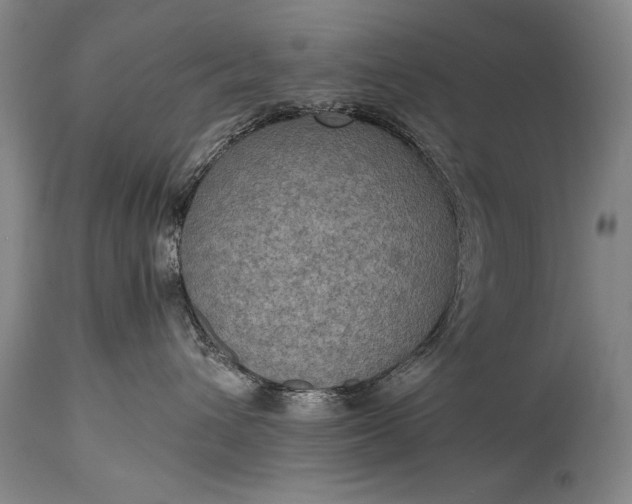 X0000115410432200911171404