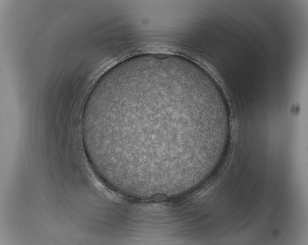 X0000115410433200911171403