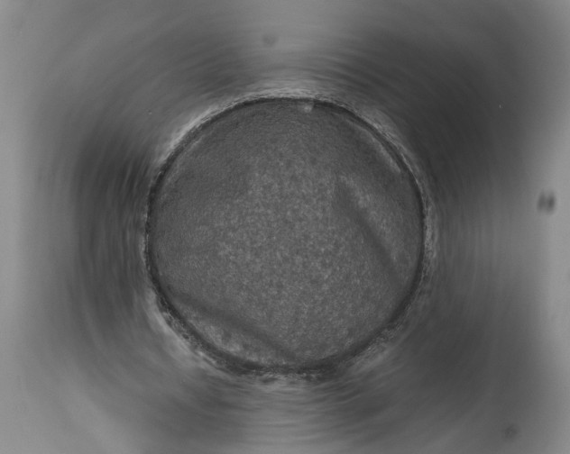 X0000115410434200911171403