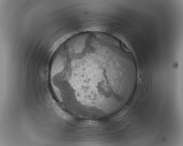 X0000115410437200911171403