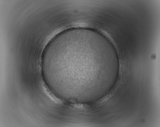 X0000115410439200911171403