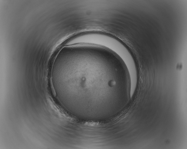 X0000115410440200911171403