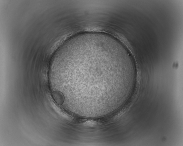 X0000115410441200911171403