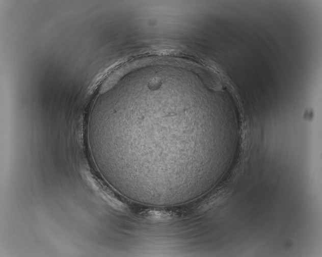 X0000115410442200911171403