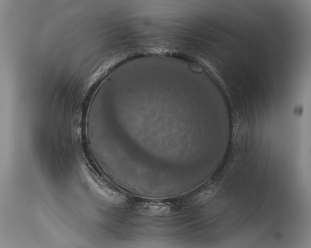 X0000115410443200911171403