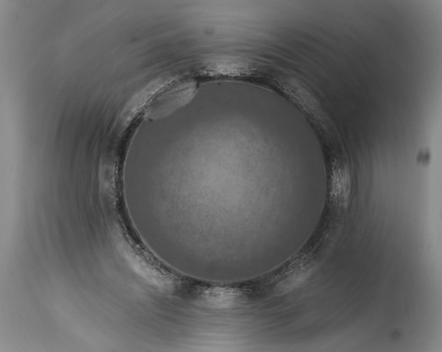 X0000115410444200911171403