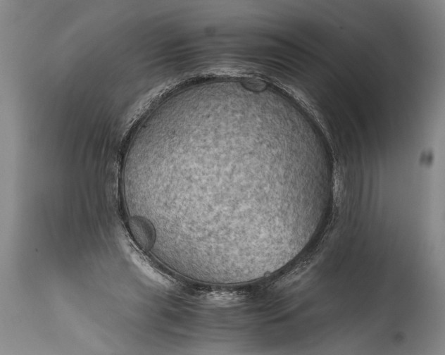 X0000115410445200911171403