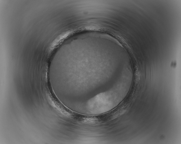 X0000115410446200911171403