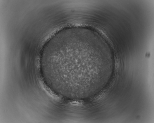 X0000115410447200911171403