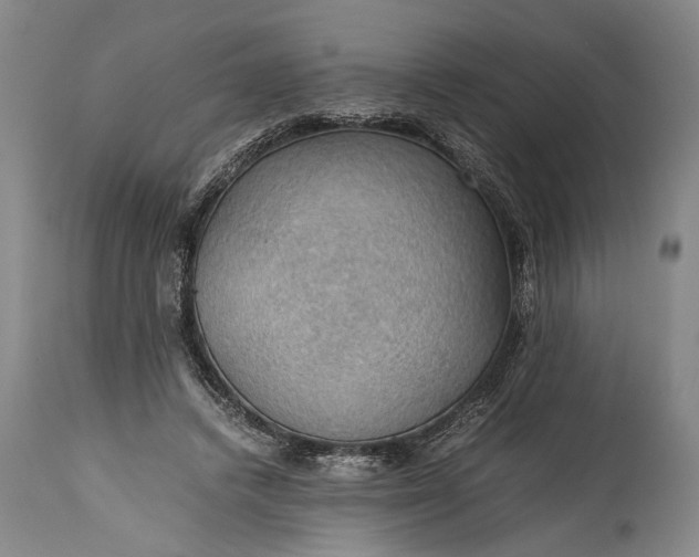 X0000115410448200911171403