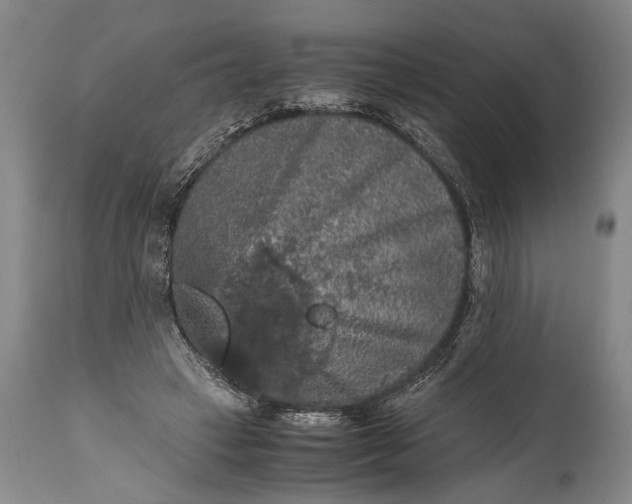 X0000115410449200911171403