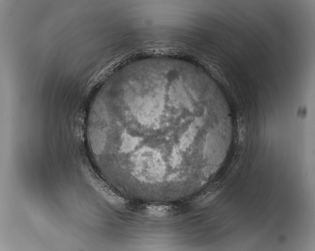 X0000115410450200911171403