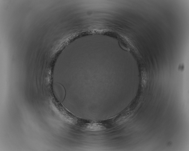 X0000115410451200911171403