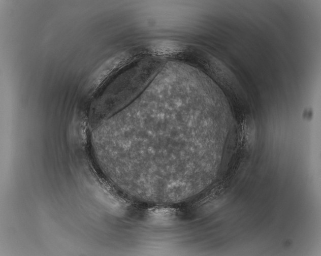 X0000115410452200911171403