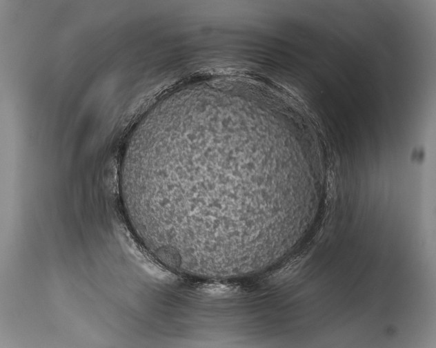 X0000115410453200911171403