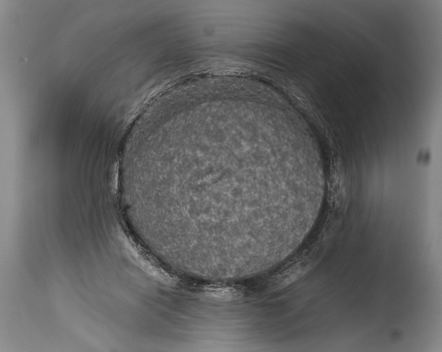 X0000115410454200911171403