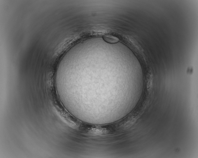 X0000115410455200911171403