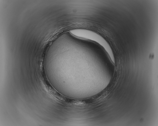 X0000115410456200911171403