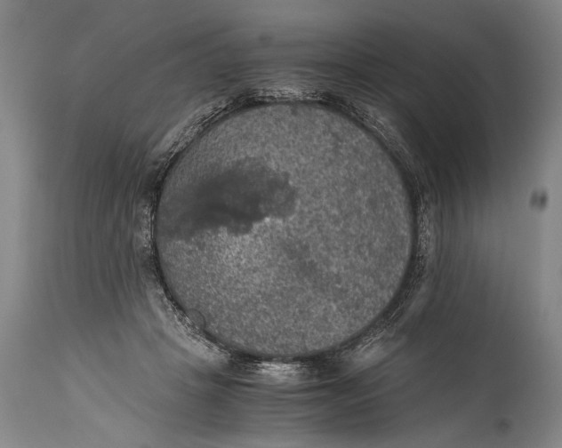 X0000115410457200911171403