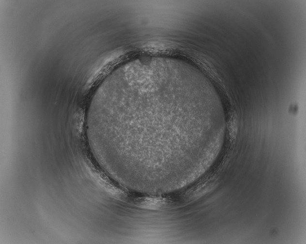 X0000115410458200911171404