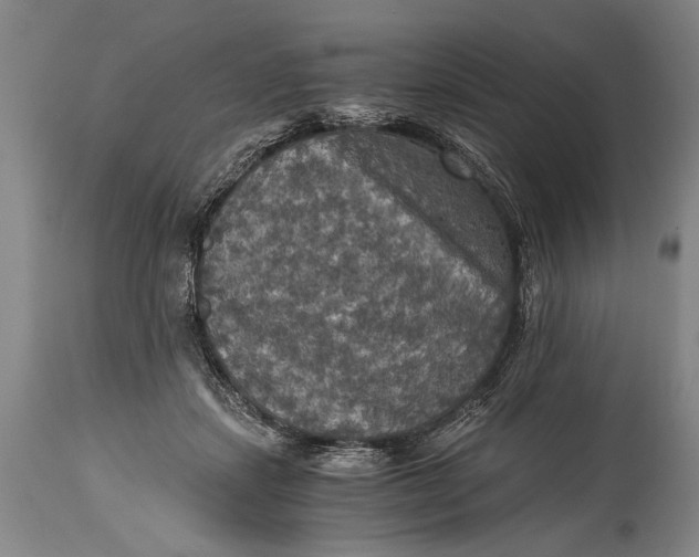 X0000115410459200911171404