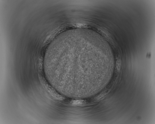 X0000115410461200911171404