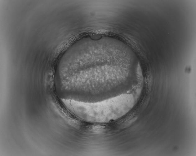 X0000115410462200911171404