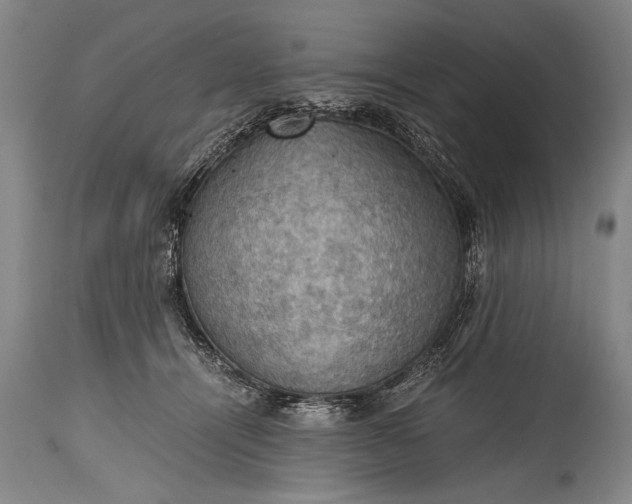X0000115410464200911171404