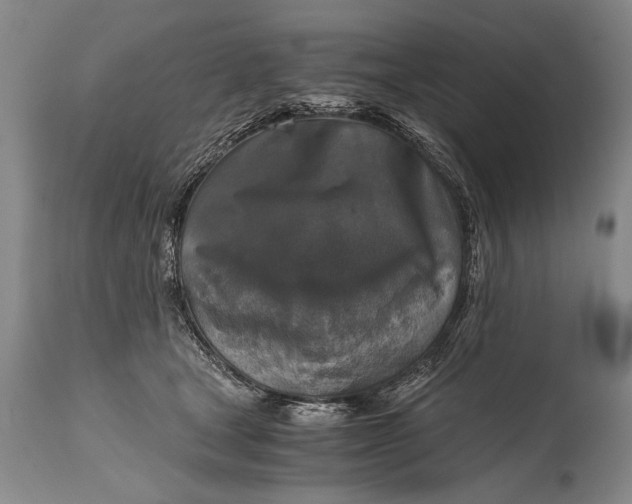 X0000115410465200911171404