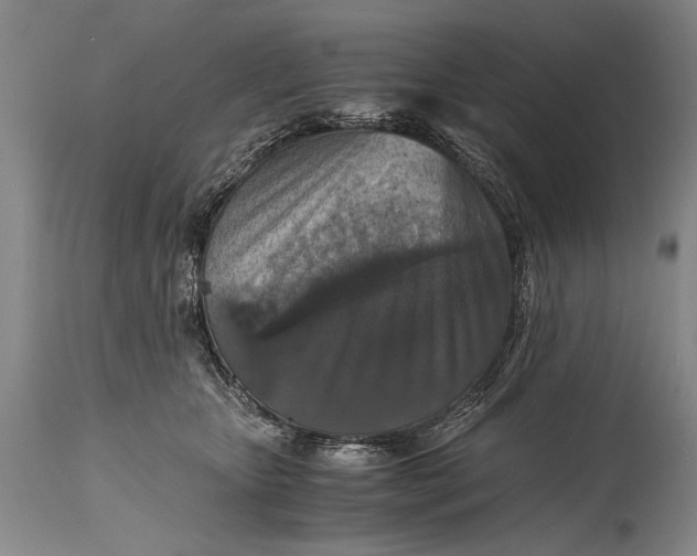 X0000115410467200911171404