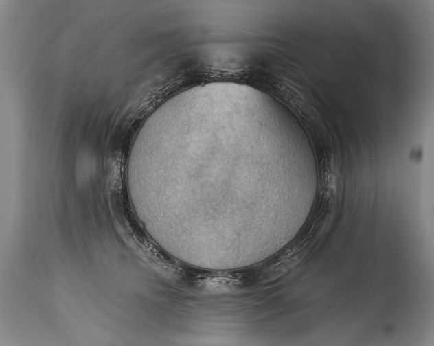 X0000115410468200911171404
