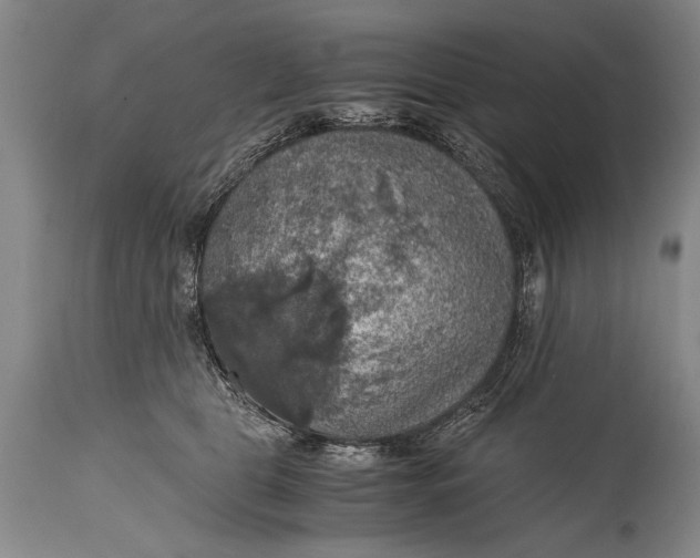 X0000115410469200911171404