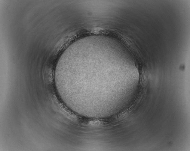 X0000115410470200911171404