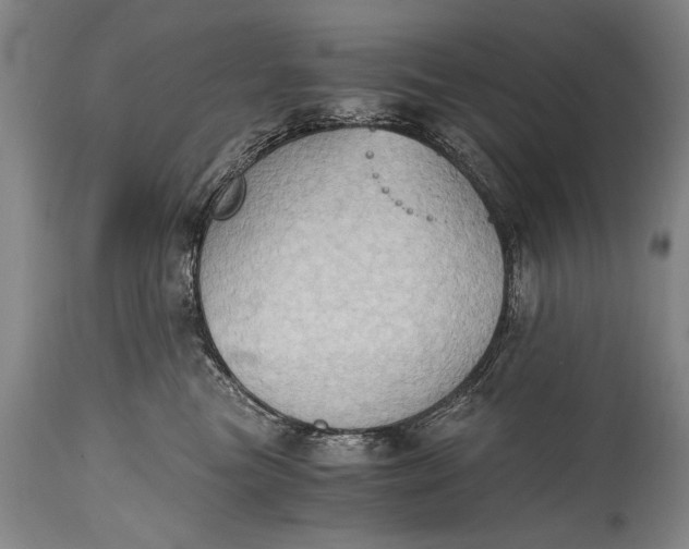 X0000115410473200911171404