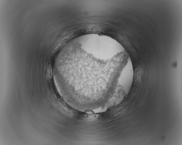 X0000115410474200911171404