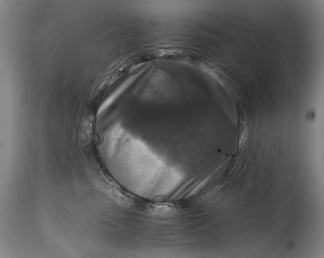 X0000115410475200911171404