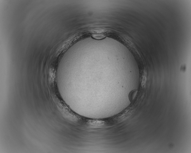 X0000115410476200911171404