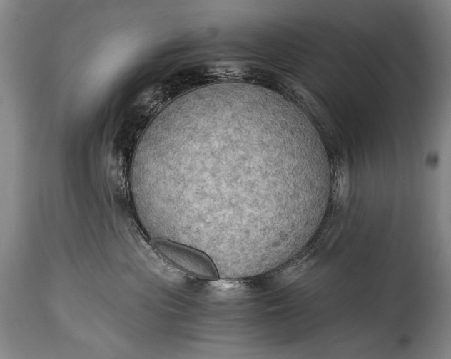 X0000115410477200911171404