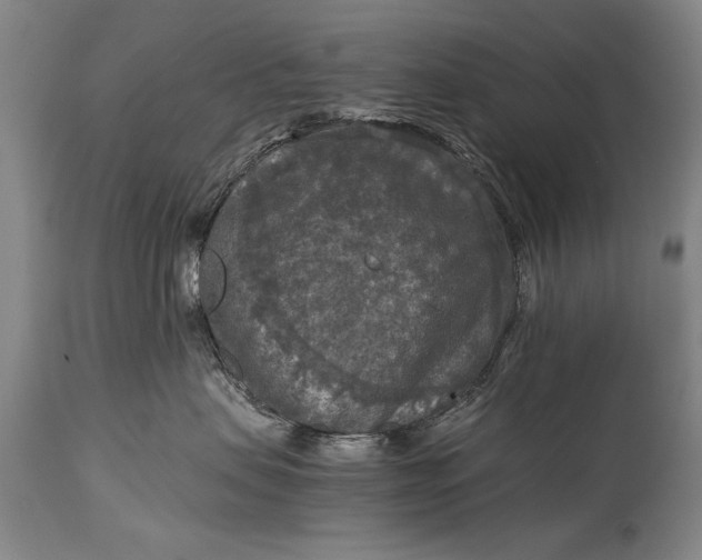 X0000115410479200911171404