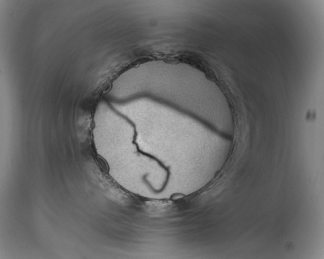 X0000115410480200911171404