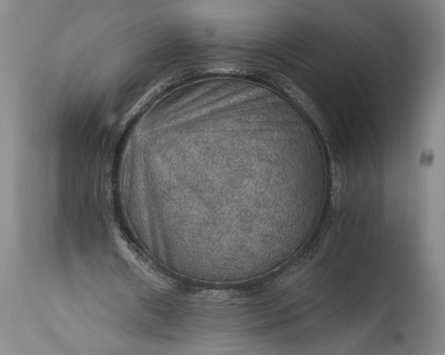 X0000115410482200911171403