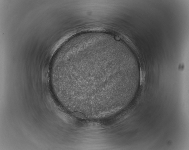 X0000115410483200911171403