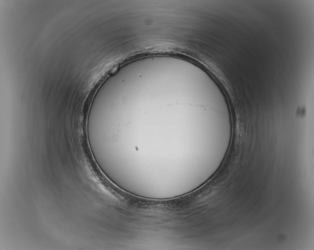 X0000115410485200911171403