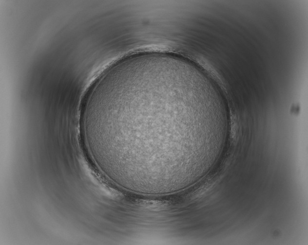 X0000115410486200911171403